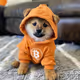 $DOG TO 100B