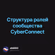    CyberConnect