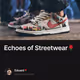 Echoes of Streetwear🌹