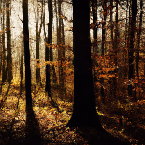 Mystical forest