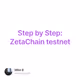 Step by Step: ZetaChain testnet