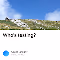 Whos testing