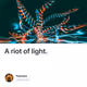 A riot of light.