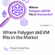 Where Polygon zkEVM Fits in the Market