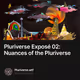 Pluriverse Exposé 02: Nuances of the Pluriverse