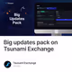 Big updates pack on Tsunami Exchange
