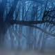 NearNecro