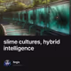 slime cultures, hybrid intelligence