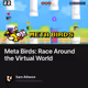 Meta Birds: Race Around the Virtual World