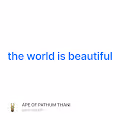 the world is beautiful V3