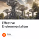 Effective Environmentalism
