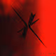 [X]:///TR1D3CV_3CH0_01
