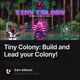 Tiny Colony: Build and Lead your Colony!