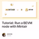 Tutorial: Run a BEVM node with Mintair