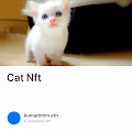 Cat Nft - 9J7LZQKC28