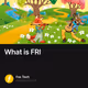 What is FRI