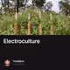 Electroculture