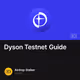 Dyson Testnet Guide