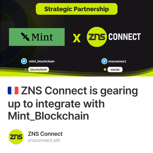 🇫🇷 ZNS Connect is gearing up to integrate with Mint_Blockchain