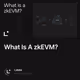 What Is A zkEVM?