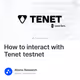 How to interact with Tenet testnet