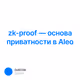zk-proof — основа приватности в Aleo