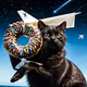 Dad2Gthr