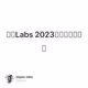 大有Labs 2023星球续费活动一