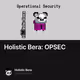 Holistic Bera: OPSEC