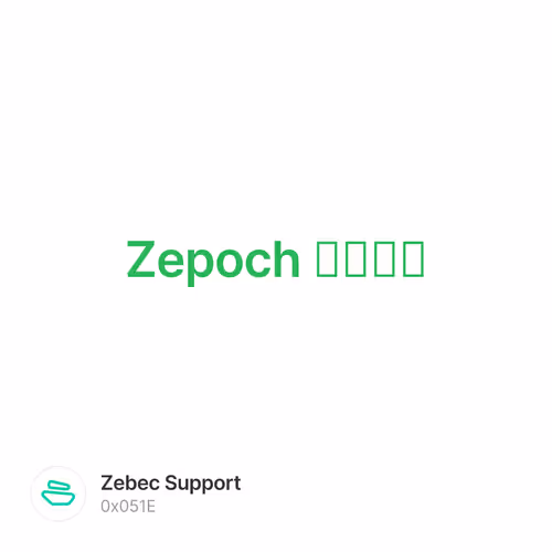 Zepoch 节点介绍