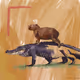 Wild Duos