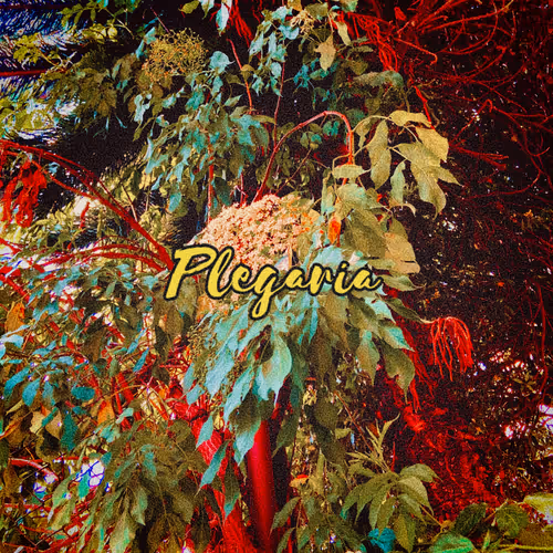 Plegaria (video letra)