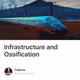 Infrastructure and Ossification