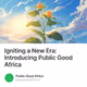 Igniting a New Era: Introducing Public Good Africa