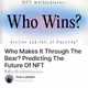 Who Makes It Through The Bear? Predicting The Future Of NFT Marketplaces