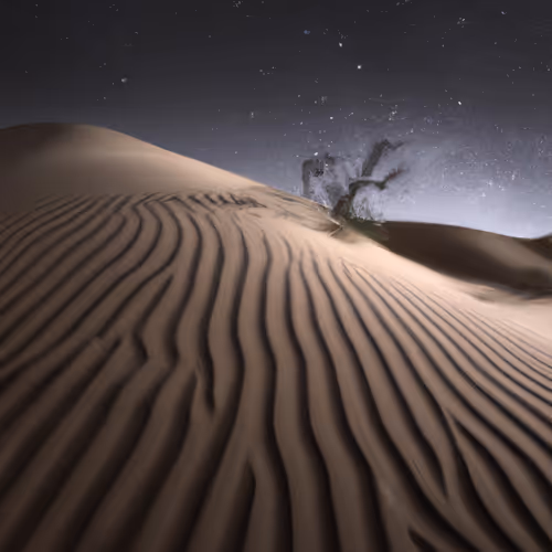 desertNight