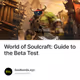 World of Soulcraft Guide to the Beta Test