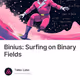 Binius: Surfing on Binary Fields