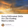 Going DAOnwind DAOs Are Like Starling Murmurations