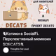 🐈Котики в SocialFi. Перспективный мемкоин $DECATS🐈
