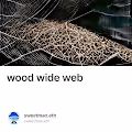 wood wide web V2