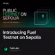 Introducing Fuel Testnet on Sepolia