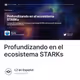 Profundizando en el ecosistema STARKs