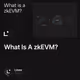 What Is A zkEVM?