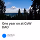 One year on at CoW DAO
