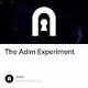 The Adim Experiment