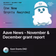 Aave News - November & December grant report