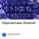 Перспективы Starknet