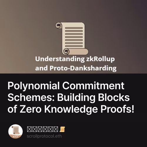Polynomial Commitment Schemes: Building Blocks of Zero Knowledge Proofs!