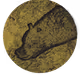 Mibera
